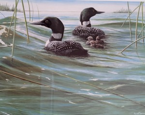 lot 137 image: Framed Loon Print by Kevin Daniel