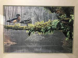 lot 7 image: Out on a Limb by Rod Frederick wCOA