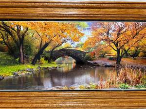 lot 36 image: Fall Trees