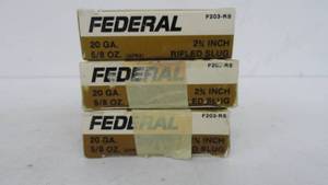 20 ga 2 34 - 58 oz Slug (Federal) 15 Rounds
