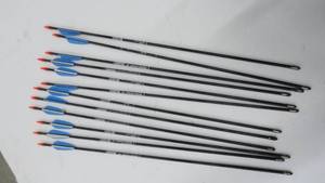 Carbon Arrows Thunder Express 26 (12 Count)