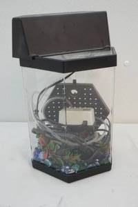 aquarium