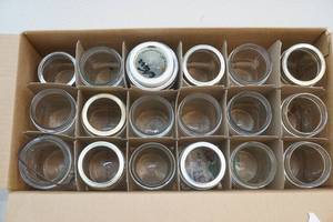 canning jars