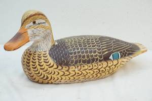 duck decoy