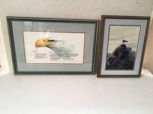 Seagull and Eagle Picture