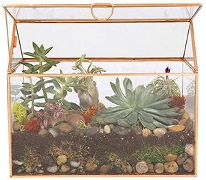lot 101 image: Deco Glass Geometric DIY Terrarium
