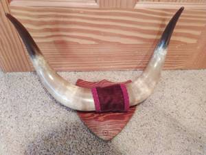 lot 68 image: Longhorn Mount