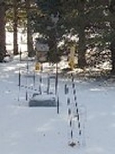lot 222 image: Bird Feeders