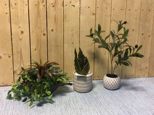 MIX LOT OF PLANTERS DECO Customer Returns See Pictures