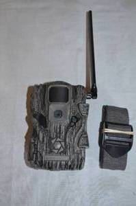 Sportsman 285
