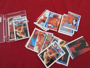 175. 78 1991 WWF Wrestling Merlin S...