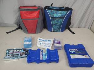 lot 88 image: 2 New 8 Can Mini Backpack Coolers and New Ice Packs