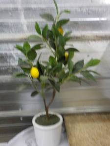 lot 76 image: Lemon Artificial Tree in Pot 26 ta...