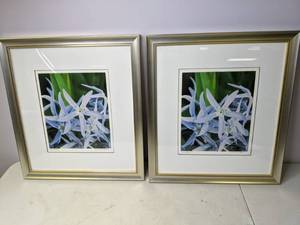 lot 287 image: Matching Pair of Framed Floral Photo Prints Into the Blue Signed by Artist - D. Kahler - N