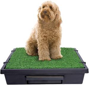 lot 65 image: PetSafe Pet Loo Portable Outdoor or Indoor Dog Potty - Dog Grass Pad with Tray