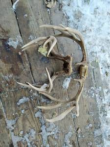 lot 176 image: Two Racks