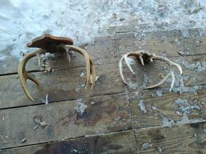 lot 177 image: Three Racks