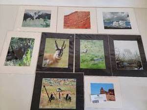 9 Beautiful Matted Original Color Nature Photographs