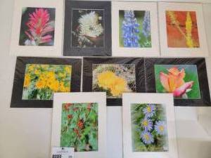 9 Gorgeous Matted Original Color Nature Photographs