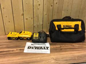 lot 30 image: DEWALT 20-Volt MAX XR Premium Lithium-Ion Starter Kit 6.0Ah. Customer Returns See Pictures