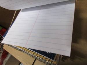 Steno Notebooks
