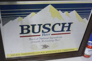 Busch Mirror