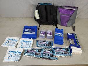 lot 151 image: New Ice Packs, Coolers, Ice Blanket, Etc
