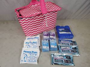 lot 168 image: New Picnic Cooler and Assorted Freeze Packs