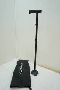 standing cane