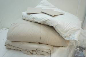 comforter and pillow set