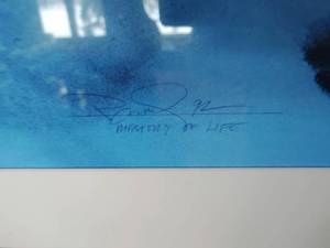 lot 68 image: Large Framed Memory of Life Print by Peter Kitchell