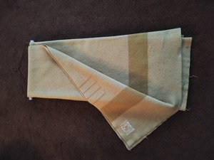 lot 279 image: Hudson Bay Four Point Mustard Color Blanket