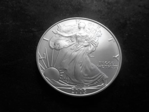 2005 Silver Eagle Dollar 1 Oz. .999 Fine.