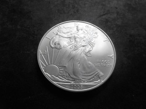 2008 Silver Eagle Dollar 1 Oz. .999 Fine.