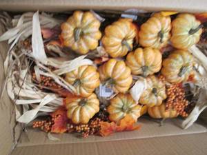 box of mixed pumpkin picks ...
