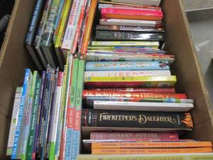 Large Lot Childrens Books...