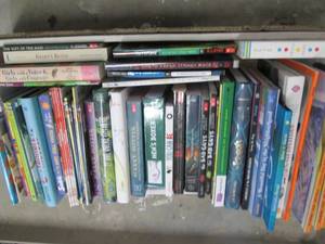 Large Lot Childrens Books...