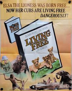 1972 Living Free Movie Poster - 24 x 32 -  Looks like an Original that someone trimmed the white border and the credits off
