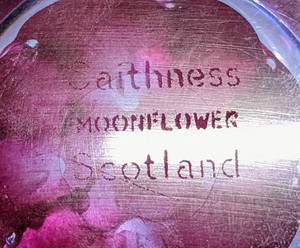 lot 58 image: Limited Edition Caithness Moon Flower Paperweight - Scotland Art Glass