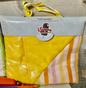 lot 152 image: 3 New Picnic Blankets