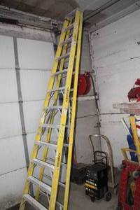 lot 83 image: 12 Step Ladder