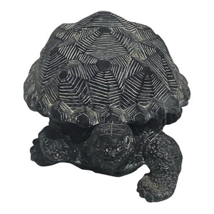 Turtles