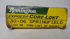 30-06 Springfield - 120gr - Remington - 20 Rounds