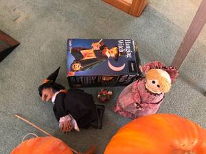 Halloween decorations