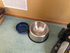 Vacuum and Dog dishes