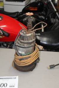 lot 800 image: Wayne Cast Iron Sump Pump