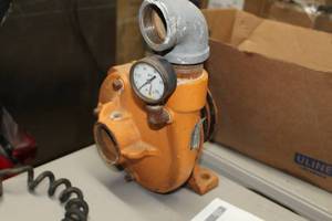 lot 802 image: Berkeley B1-12 TRLS Pump