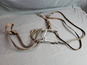 Fort Recovery Bit and Bridle