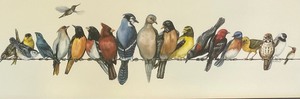 Tweet Tweet Framed Bird Themed Art
