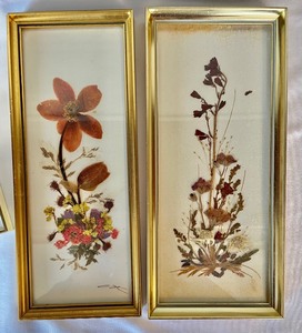 A Lovely Variety of Vintage Framed Pressed Flower Art